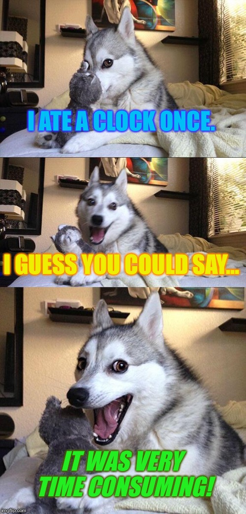 Time Consuming Bad Pun Dog | I ATE A CLOCK ONCE. I GUESS YOU COULD SAY... IT WAS VERY TIME CONSUMING! | image tagged in memes,bad pun dog,funny memes,time | made w/ Imgflip meme maker