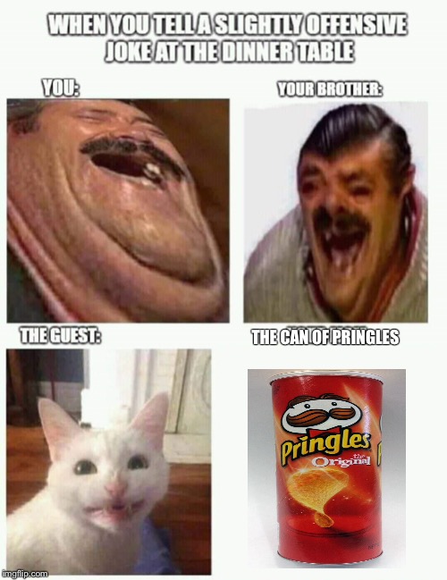 Slightly offensive joke at the dinner table | THE CAN OF PRINGLES | image tagged in slightly offensive joke at the dinner table | made w/ Imgflip meme maker