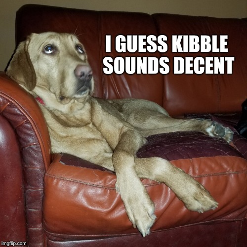 Dog Eye Roll | I GUESS KIBBLE SOUNDS DECENT | image tagged in dog eye roll | made w/ Imgflip meme maker