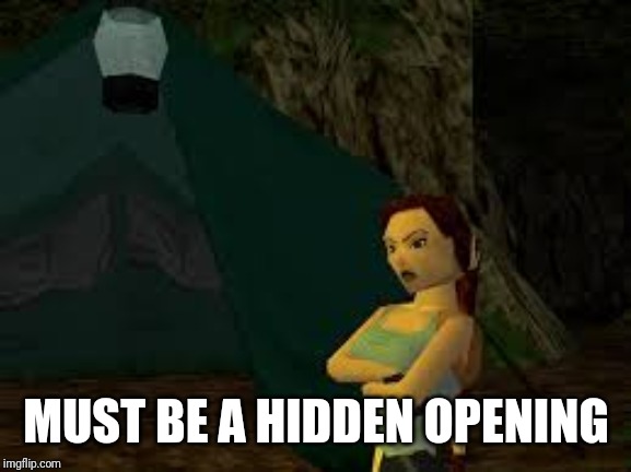 Lara croft | MUST BE A HIDDEN OPENING | image tagged in lara croft | made w/ Imgflip meme maker