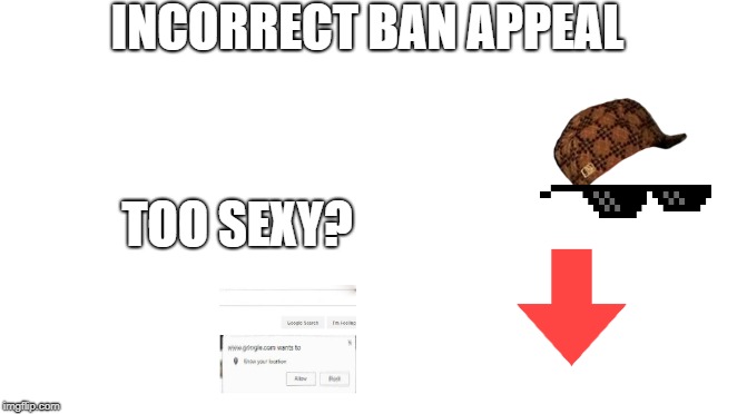 Starter Pack | INCORRECT BAN APPEAL; TOO SEXY? | image tagged in starter pack | made w/ Imgflip meme maker