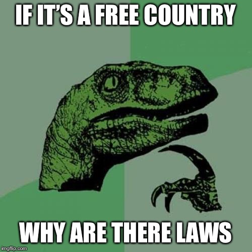 Philosoraptor | IF IT’S A FREE COUNTRY; WHY ARE THERE LAWS | image tagged in memes,philosoraptor | made w/ Imgflip meme maker