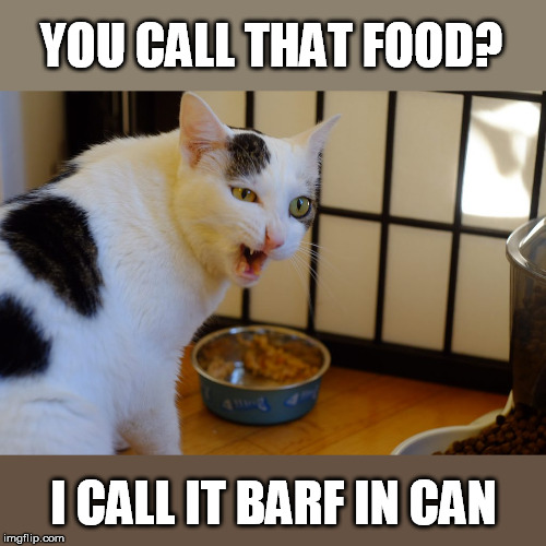 YOU CALL THAT FOOD? I CALL IT BARF IN CAN | made w/ Imgflip meme maker