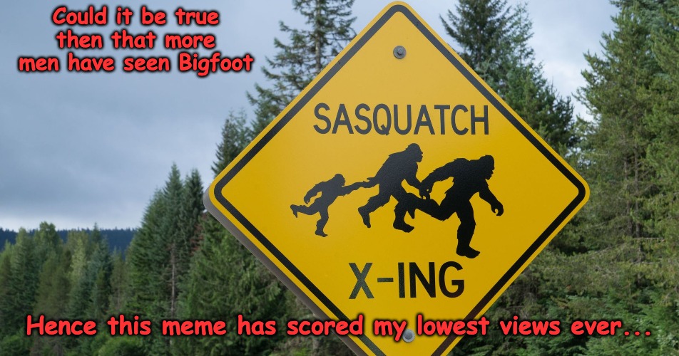 Clitoris.......what's a Clitoris..? | Could it be true then that more men have seen Bigfoot Hence this meme has scored my lowest views ever... | made w/ Imgflip meme maker