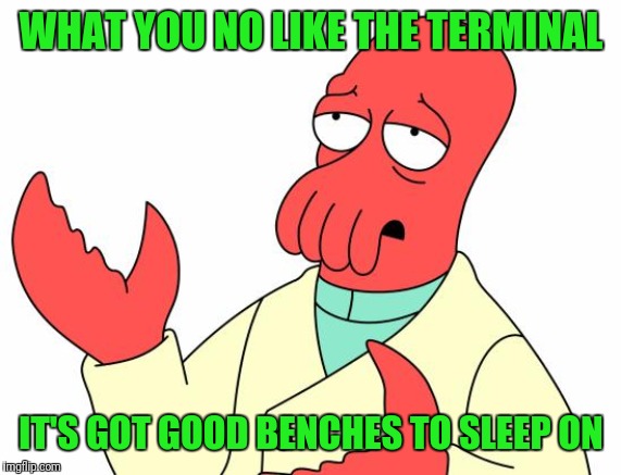 Futurama Zoidberg Meme | WHAT YOU NO LIKE THE TERMINAL IT'S GOT GOOD BENCHES TO SLEEP ON | image tagged in memes,futurama zoidberg | made w/ Imgflip meme maker