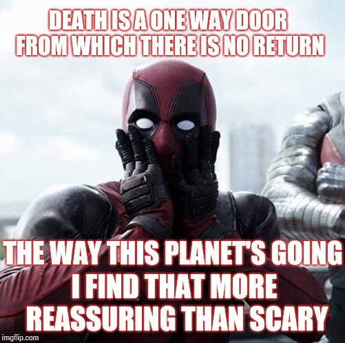 Deadpool Surprised | DEATH IS A ONE WAY DOOR FROM WHICH THERE IS NO RETURN; THE WAY THIS PLANET'S GOING; I FIND THAT MORE REASSURING THAN SCARY | image tagged in memes,deadpool surprised | made w/ Imgflip meme maker