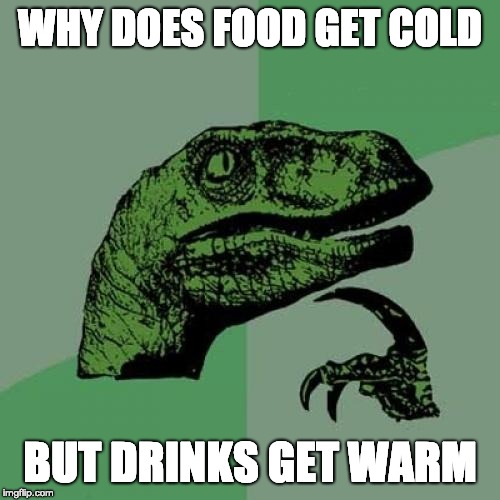 Philosoraptor | WHY DOES FOOD GET COLD; BUT DRINKS GET WARM | image tagged in memes,philosoraptor | made w/ Imgflip meme maker