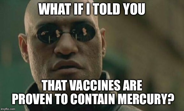 Matrix Morpheus Meme | WHAT IF I TOLD YOU THAT VACCINES ARE PROVEN TO CONTAIN MERCURY? | image tagged in memes,matrix morpheus | made w/ Imgflip meme maker