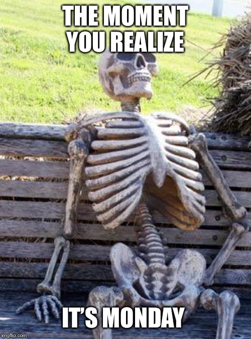 Waiting Skeleton | THE MOMENT YOU REALIZE; IT’S MONDAY | image tagged in memes,waiting skeleton | made w/ Imgflip meme maker