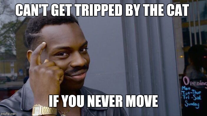 Roll Safe Think About It | CAN'T GET TRIPPED BY THE CAT; IF YOU NEVER MOVE | image tagged in memes,roll safe think about it | made w/ Imgflip meme maker