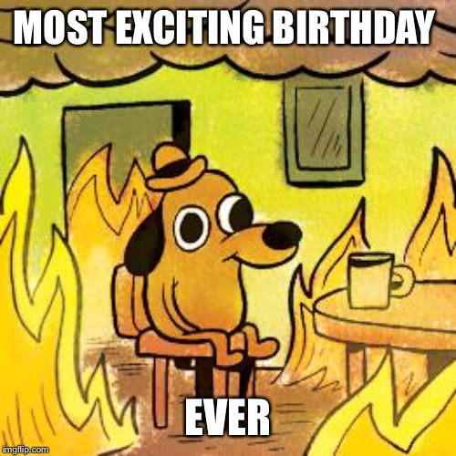 Dog in burning house | MOST EXCITING BIRTHDAY; EVER | image tagged in dog in burning house | made w/ Imgflip meme maker