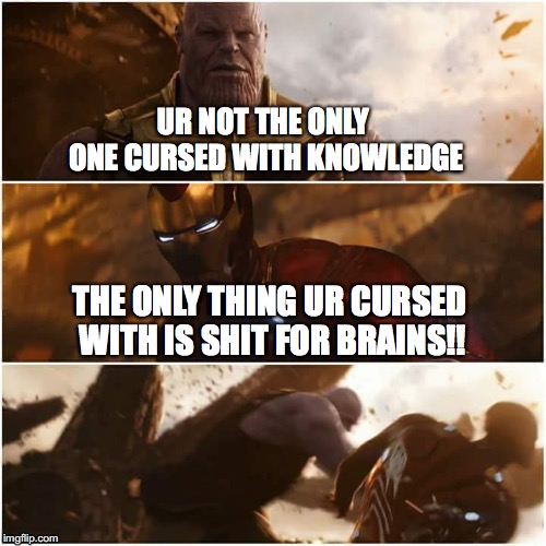 avengers infinity war | UR NOT THE ONLY ONE CURSED WITH KNOWLEDGE; THE ONLY THING UR CURSED WITH IS SHIT FOR BRAINS!! | image tagged in avengers infinity war | made w/ Imgflip meme maker