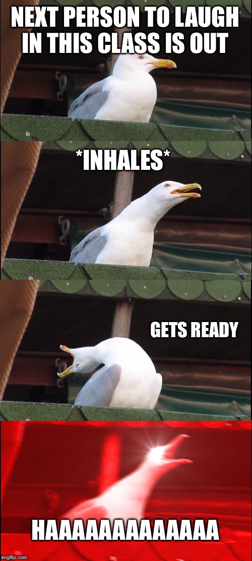 Inhaling Seagull Meme | NEXT PERSON TO LAUGH IN THIS CLASS IS OUT; *INHALES*; GETS READY; HAAAAAAAAAAAAA | image tagged in memes,inhaling seagull | made w/ Imgflip meme maker
