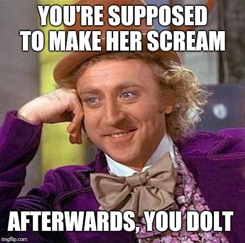 Creepy Condescending Wonka Meme | YOU'RE SUPPOSED TO MAKE HER SCREAM AFTERWARDS, YOU DOLT | image tagged in memes,creepy condescending wonka | made w/ Imgflip meme maker