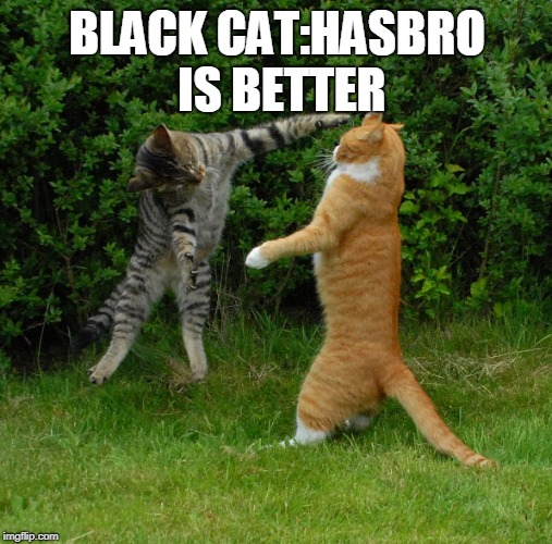 Two cats fighting | BLACK CAT:HASBRO IS BETTER | image tagged in two cats fighting | made w/ Imgflip meme maker