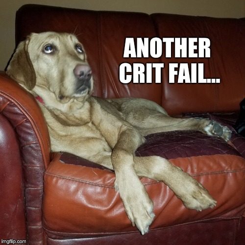 Dog Eye Roll | ANOTHER CRIT FAIL... | image tagged in dog eye roll | made w/ Imgflip meme maker