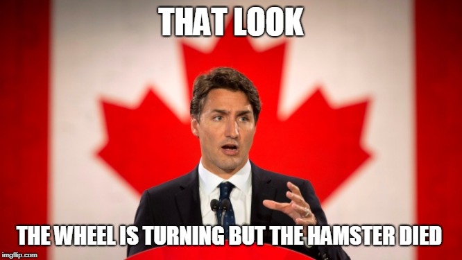 Justin Trudeau | THAT LOOK; THE WHEEL IS TURNING BUT THE HAMSTER DIED | image tagged in justin trudeau | made w/ Imgflip meme maker