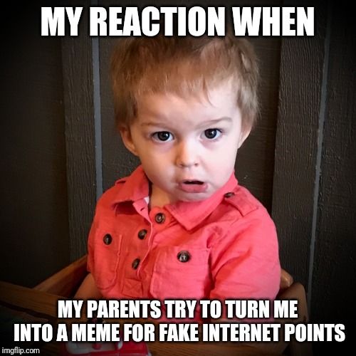 My Face When | MY REACTION WHEN; MY PARENTS TRY TO TURN ME INTO A MEME FOR FAKE INTERNET POINTS | image tagged in my face when | made w/ Imgflip meme maker