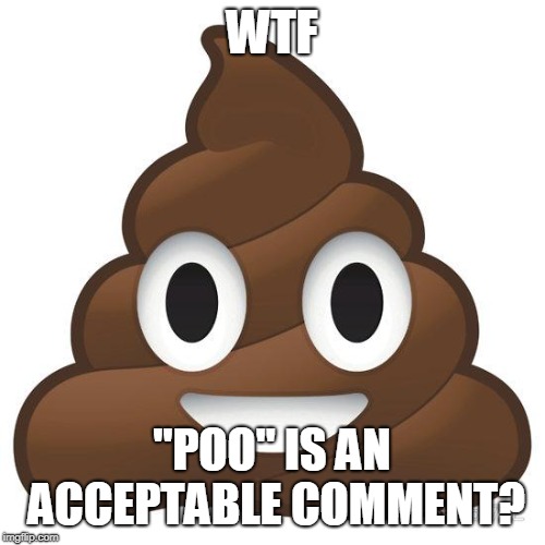 poop | WTF "POO" IS AN ACCEPTABLE COMMENT? | image tagged in poop | made w/ Imgflip meme maker