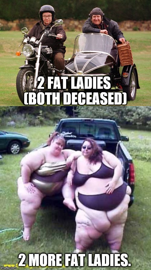 New fat ladies | 2 FAT LADIES (BOTH DECEASED); 2 MORE FAT LADIES. | image tagged in 2 fat ladies,2 more fat ladies | made w/ Imgflip meme maker