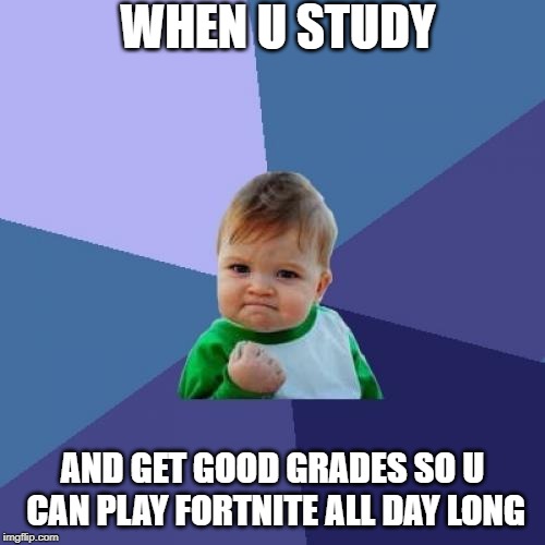 Success Kid | WHEN U STUDY; AND GET GOOD GRADES SO U CAN PLAY FORTNITE ALL DAY LONG | image tagged in memes,success kid | made w/ Imgflip meme maker