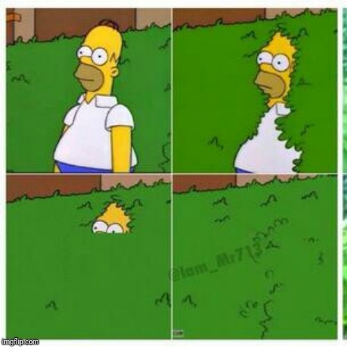 Homer hides | . | image tagged in homer hides | made w/ Imgflip meme maker