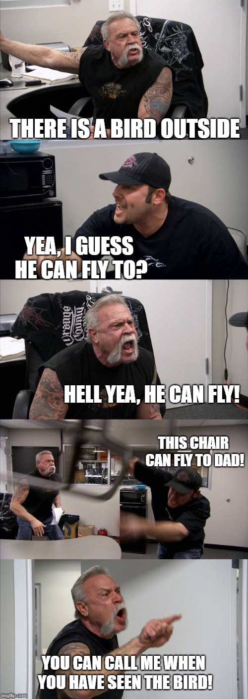 American Chopper Argument | THERE IS A BIRD OUTSIDE; YEA, I GUESS HE CAN FLY TO? HELL YEA, HE CAN FLY! THIS CHAIR CAN FLY TO DAD! YOU CAN CALL ME WHEN YOU HAVE SEEN THE BIRD! | image tagged in memes,american chopper argument | made w/ Imgflip meme maker