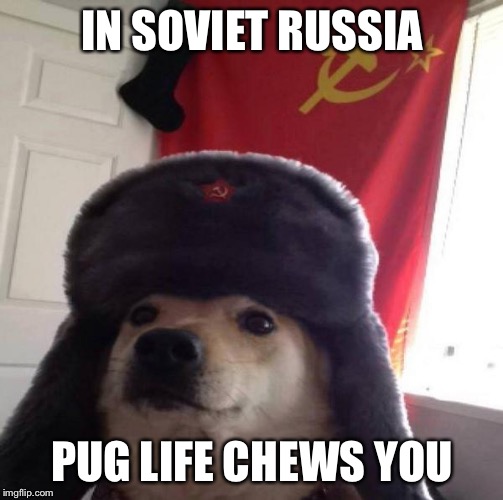 Russian Doge | IN SOVIET RUSSIA PUG LIFE CHEWS YOU | image tagged in russian doge | made w/ Imgflip meme maker