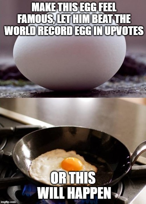 klm egg | MAKE THIS EGG FEEL FAMOUS, LET HIM BEAT THE WORLD RECORD EGG IN UPVOTES; OR THIS WILL HAPPEN | image tagged in klm egg | made w/ Imgflip meme maker