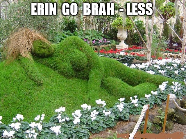 ERIN  GO  BRAH  - LESS | image tagged in robinmeme | made w/ Imgflip meme maker