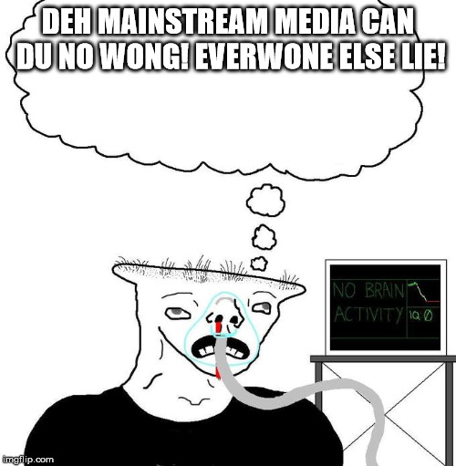 brainlet | DEH MAINSTREAM MEDIA CAN DU NO WONG! EVERWONE ELSE LIE! | image tagged in brainlet,memes | made w/ Imgflip meme maker