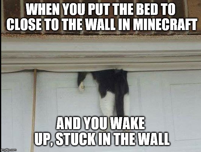 Bella the cat stuck in a garage door | WHEN YOU PUT THE BED TO CLOSE TO THE WALL IN MINECRAFT; AND YOU WAKE UP, STUCK IN THE WALL | image tagged in bella the cat stuck in a garage door | made w/ Imgflip meme maker