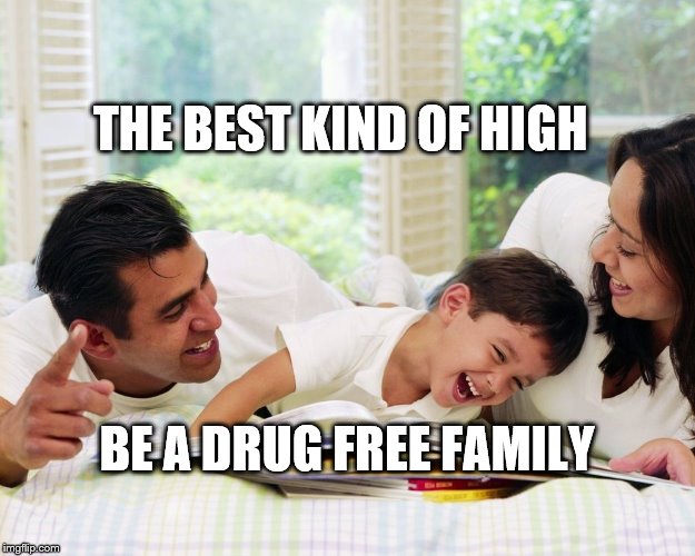 Happy Family | THE BEST KIND OF HIGH; BE A DRUG FREE FAMILY | image tagged in happy family | made w/ Imgflip meme maker
