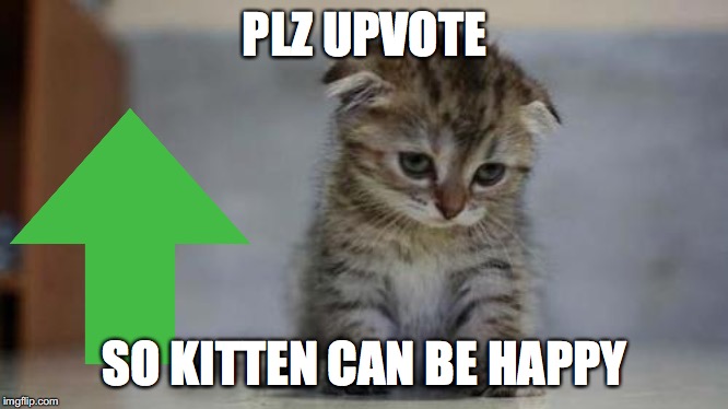 Help Cat | PLZ UPVOTE; SO KITTEN CAN BE HAPPY | image tagged in upvote week | made w/ Imgflip meme maker