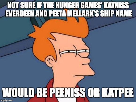 Seriously though... | NOT SURE IF THE HUNGER GAMES' KATNISS EVERDEEN AND PEETA MELLARK'S SHIP NAME; WOULD BE PEENISS OR KATPEE | image tagged in memes,futurama fry,funny,the hunger games,katniss everdeen,fandoms | made w/ Imgflip meme maker