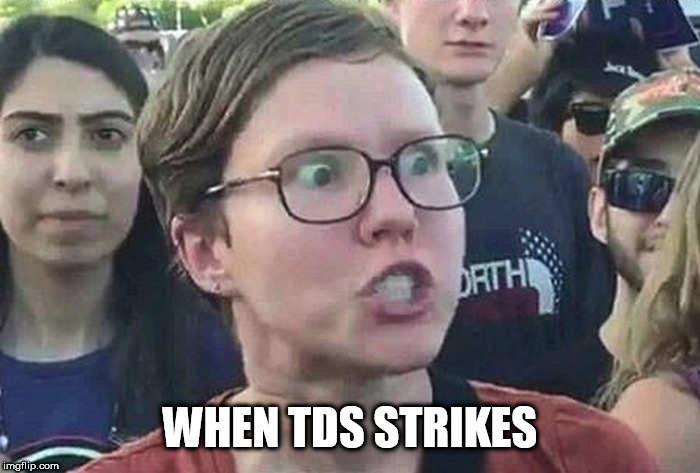 Triggered Liberal | WHEN TDS STRIKES | image tagged in triggered liberal | made w/ Imgflip meme maker
