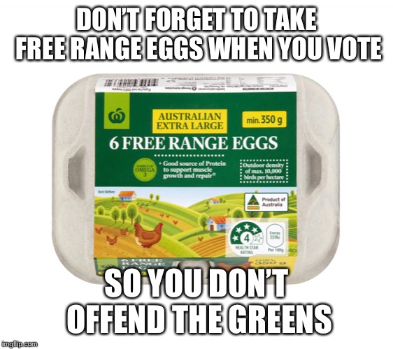 DON’T FORGET TO TAKE FREE RANGE EGGS WHEN YOU VOTE; SO YOU DON’T OFFEND THE GREENS | image tagged in eggboy,auspol | made w/ Imgflip meme maker