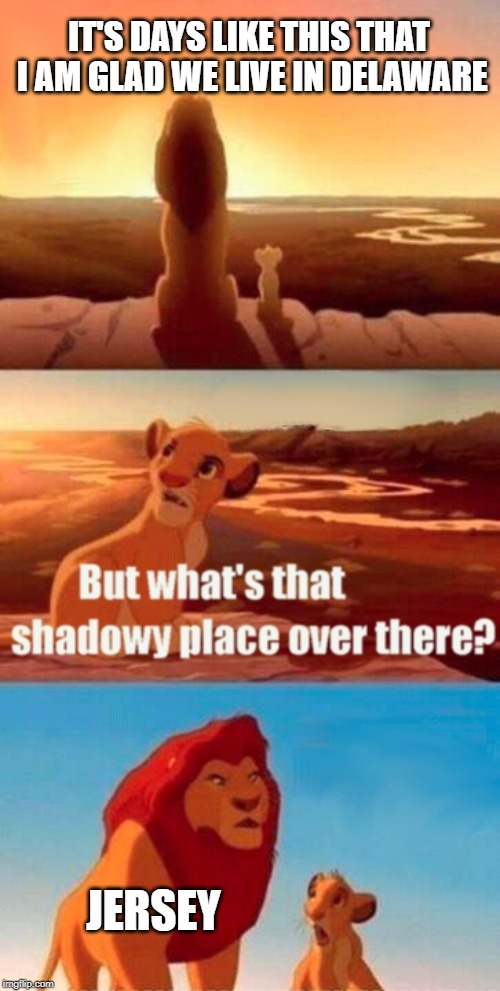 Delaware > NJ | IT'S DAYS LIKE THIS THAT I AM GLAD WE LIVE IN DELAWARE; JERSEY | image tagged in memes,simba shadowy place | made w/ Imgflip meme maker