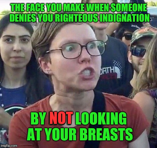 foggy | THE FACE YOU MAKE WHEN SOMEONE DENIES YOU RIGHTEOUS INDIGNATION BY NOT LOOKING AT YOUR BREASTS NOT | image tagged in foggy | made w/ Imgflip meme maker