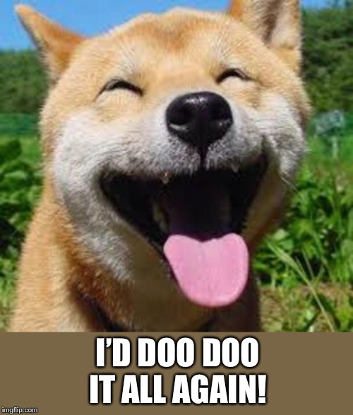 Happy Doge | I’D DOO DOO IT ALL AGAIN! | image tagged in happy doge | made w/ Imgflip meme maker