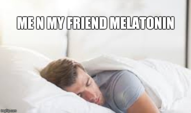 Sleep? | ME N MY FRIEND MELATONIN | image tagged in sleep,drugs | made w/ Imgflip meme maker