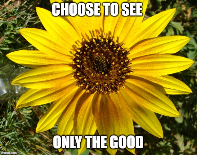 Only the good | CHOOSE TO SEE; ONLY THE GOOD | image tagged in positive thinking | made w/ Imgflip meme maker