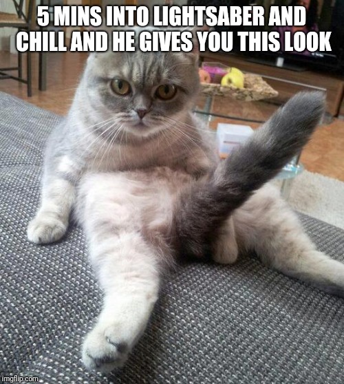 Sexy Cat Meme | 5 MINS INTO LIGHTSABER AND CHILL AND HE GIVES YOU THIS LOOK | image tagged in memes,sexy cat | made w/ Imgflip meme maker