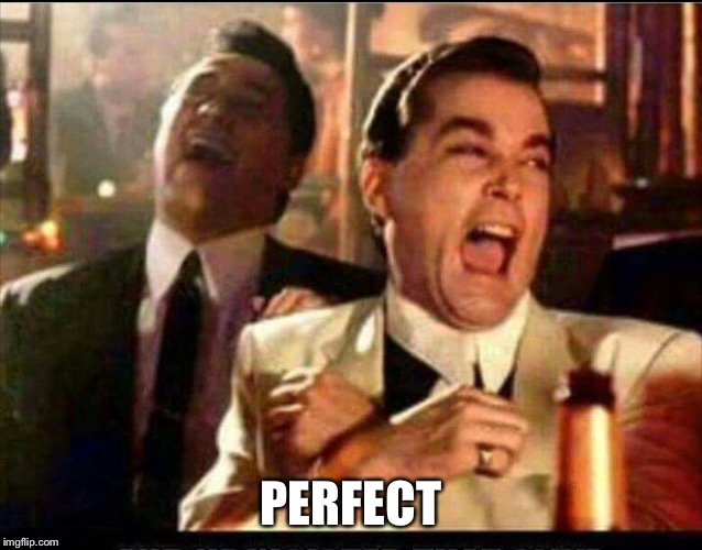 Lol good fellas  | PERFECT | image tagged in lol good fellas | made w/ Imgflip meme maker