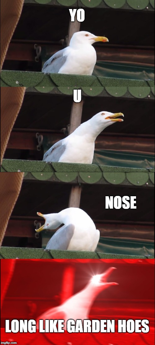 Inhaling Seagull | YO; U; NOSE; LONG LIKE GARDEN HOES | image tagged in memes,inhaling seagull | made w/ Imgflip meme maker