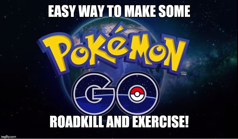 pokemon go | EASY WAY TO MAKE SOME; ROADKILL AND EXERCISE! | image tagged in pokemon go | made w/ Imgflip meme maker