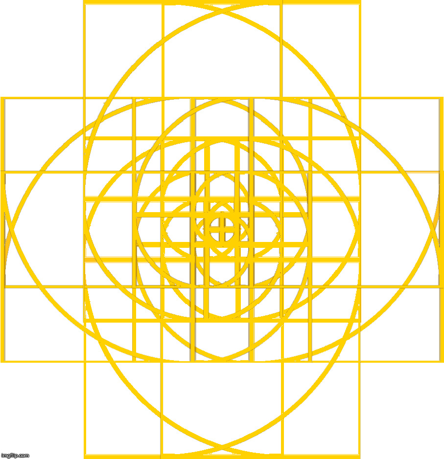 The flower of life | image tagged in the golden ratio,flower,life | made w/ Imgflip meme maker