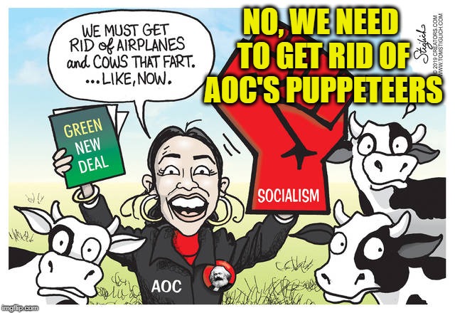 NO, WE NEED TO GET RID OF AOC'S PUPPETEERS | image tagged in alexandria ocasio-cortez,democratic socialism,socialism,democratic party | made w/ Imgflip meme maker
