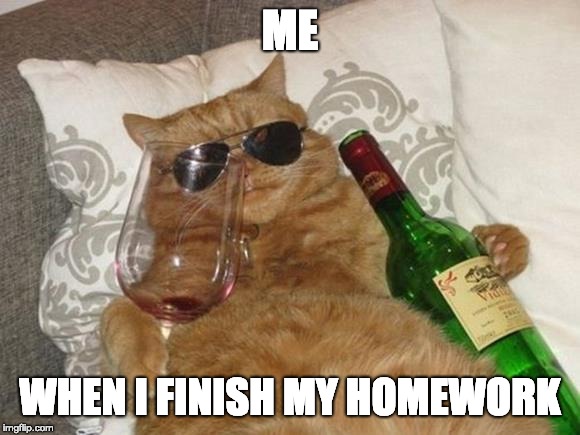Funny Cat Birthday | ME; WHEN I FINISH MY HOMEWORK | image tagged in funny cat birthday | made w/ Imgflip meme maker