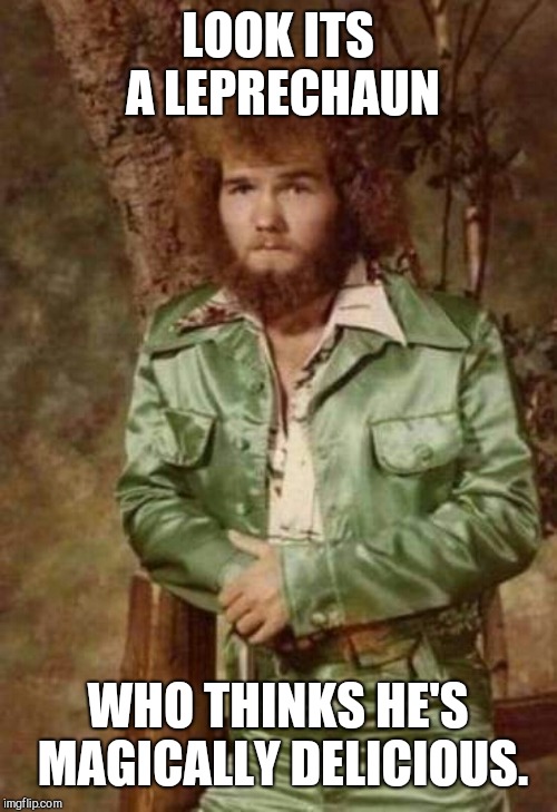 A real life leprechaun | LOOK ITS A LEPRECHAUN; WHO THINKS HE'S MAGICALLY DELICIOUS. | image tagged in st patrick's day | made w/ Imgflip meme maker